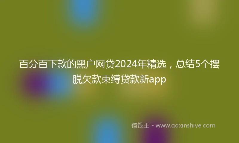 百分百下款的黑户网贷2024年精选，总结5个摆脱欠款束缚贷款新app