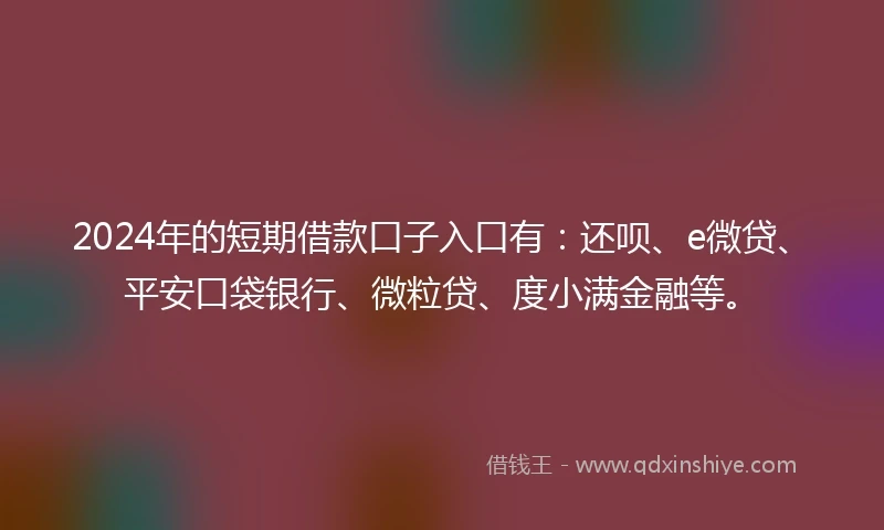 2024年的短期借款口子入口有：还呗、e微贷、平安口袋银行、微粒贷、度小满金融等。