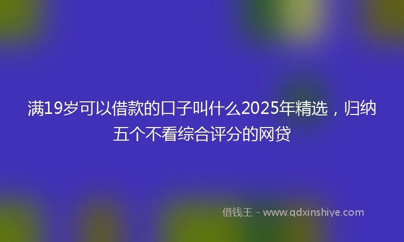 满19岁可以借款的口子叫什么2025年精选，归纳五个不看综合评分的网贷