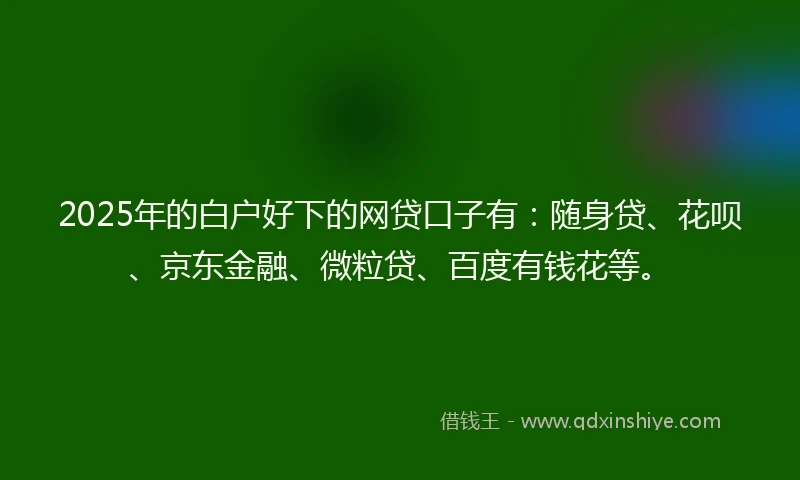 2025年的白户好下的网贷口子有：随身贷、花呗、京东金融、微粒贷、百度有钱花等。