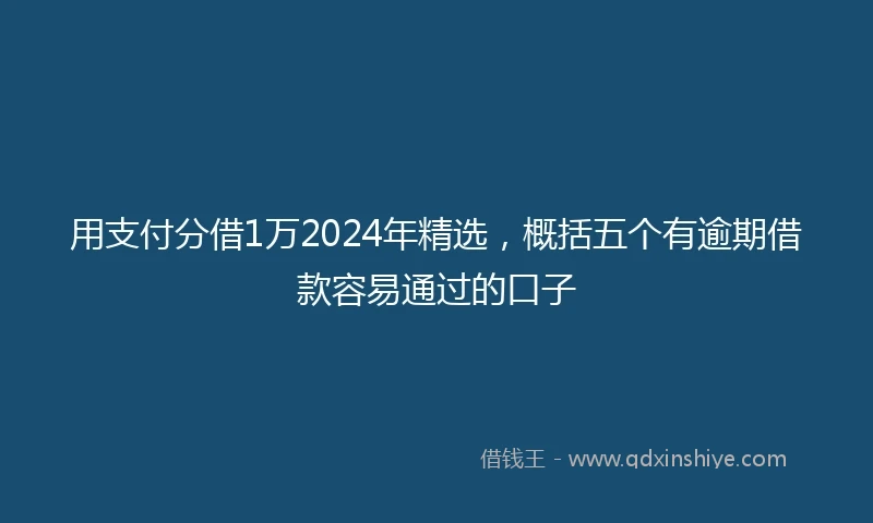 用支付分借1万2024年精选,概括五个有逾期借款容易通过的口子
