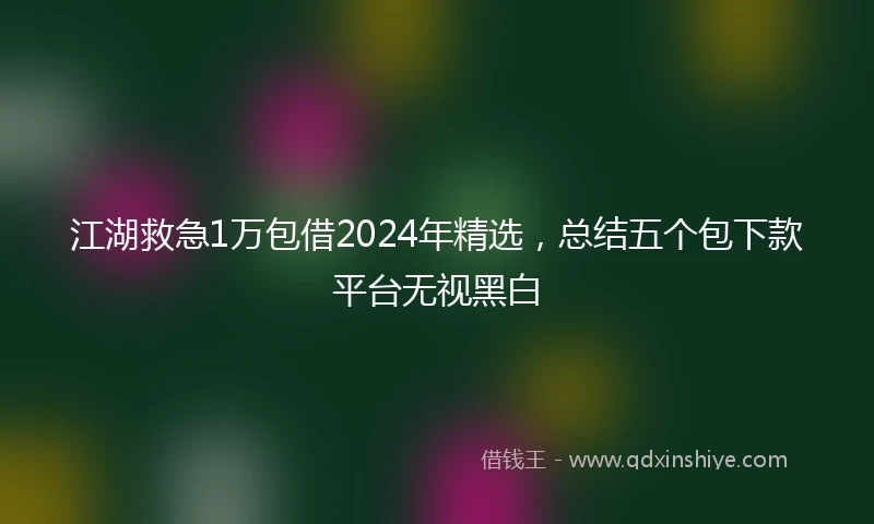 江湖救急1万包借2024年精选，总结五个包下款平台无视黑白