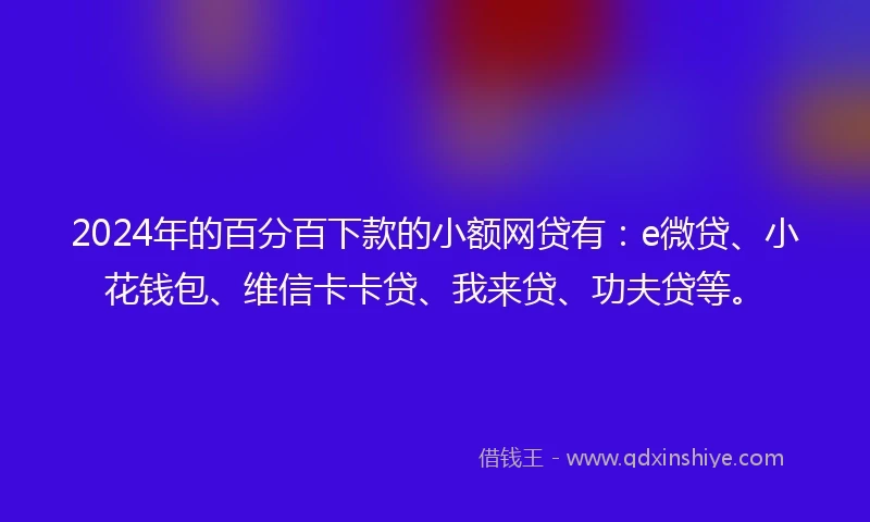 2024年的百分百下款的小额网贷有：e微贷、小花钱包、维信卡卡贷、我来贷、功夫贷等。