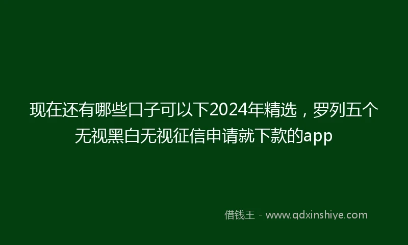现在还有哪些口子可以下2024年精选，罗列五个无视黑白无视征信申请就下款的app