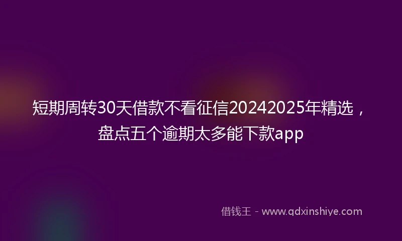 短期周转30天借款不看征信20242025年精选，盘点五个逾期太多能下款app