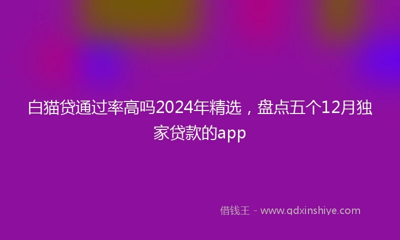 白猫贷通过率高吗2024年精选，盘点五个12月独家贷款的app