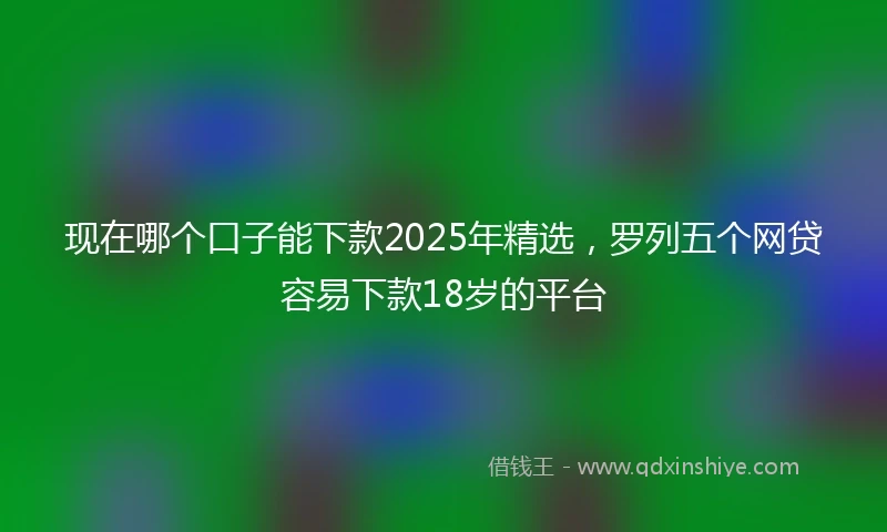现在哪个口子能下款2025年精选，罗列五个网贷容易下款18岁的平台