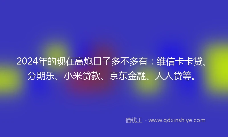 2024年的现在高炮口子多不多有：维信卡卡贷、分期乐、小米贷款、京东金融、人人贷等。