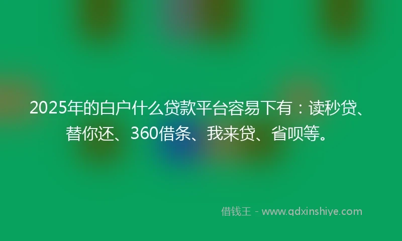 2025年的白户什么贷款平台容易下有：读秒贷、替你还、360借条、我来贷、省呗等。