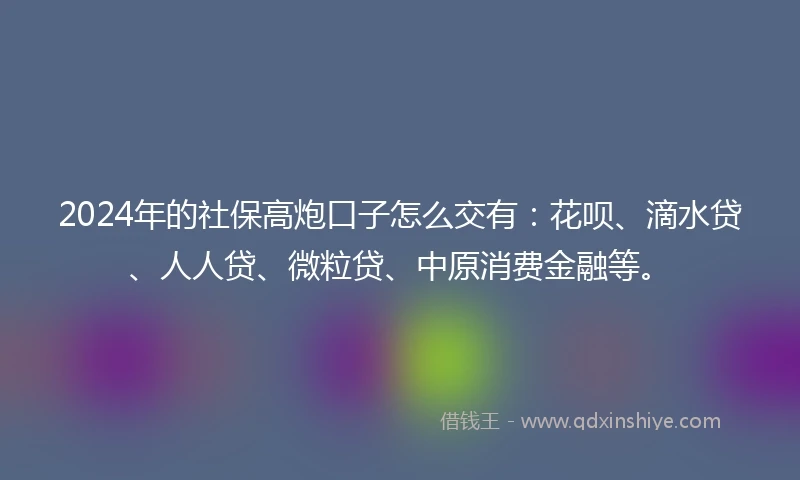 2024年的社保高炮口子怎么交有：花呗、滴水贷、人人贷、微粒贷、中原消费金融等。