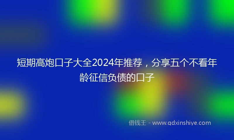 短期高炮口子大全2024年推荐，分享五个不看年龄征信负债的口子