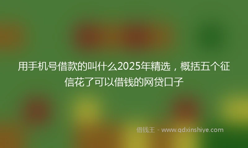用手机号借款的叫什么2025年精选，概括五个征信花了可以借钱的网贷口子