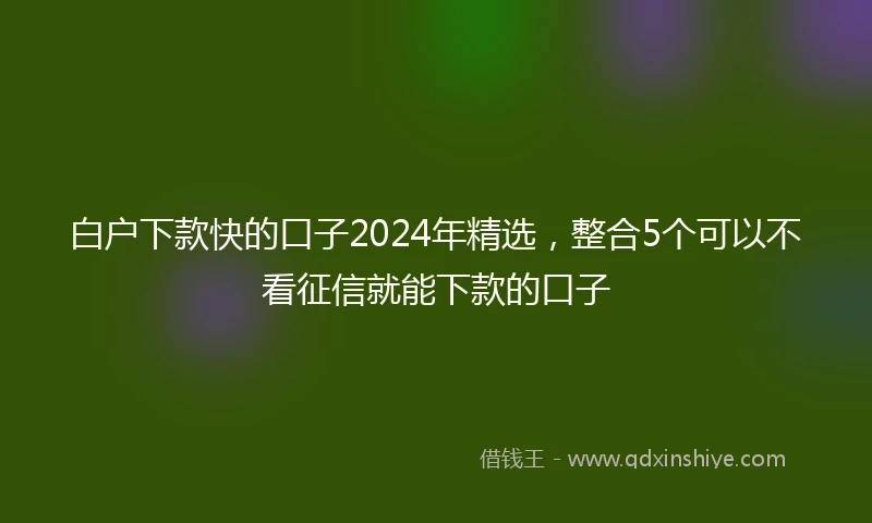白户下款快的口子2024年精选，整合5个可以不看征信就能下款的口子