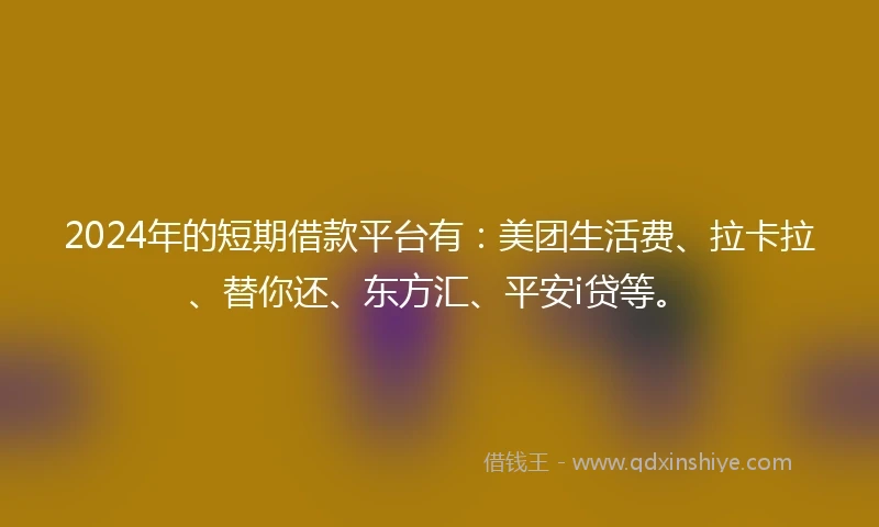 2024年的短期借款平台有：美团生活费、拉卡拉、替你还、东方汇、平安i贷等。