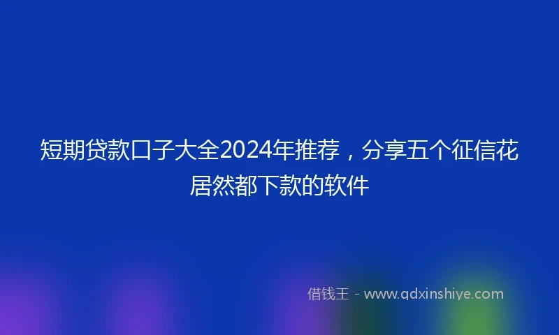 短期贷款口子大全2024年推荐，分享五个征信花居然都下款的软件