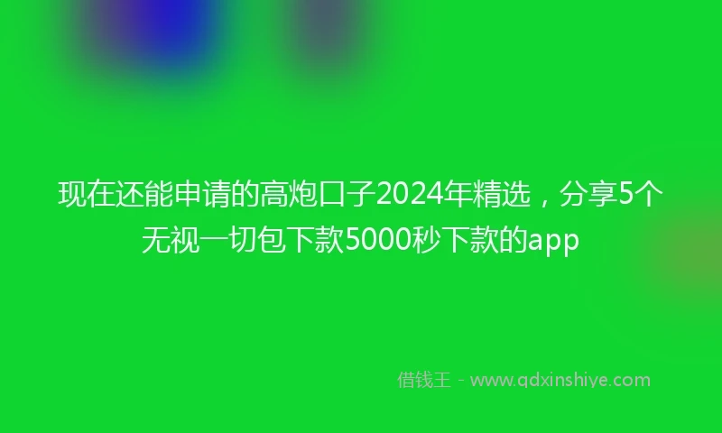 现在还能申请的高炮口子2024年精选，分享5个无视一切包下款5000秒下款的app