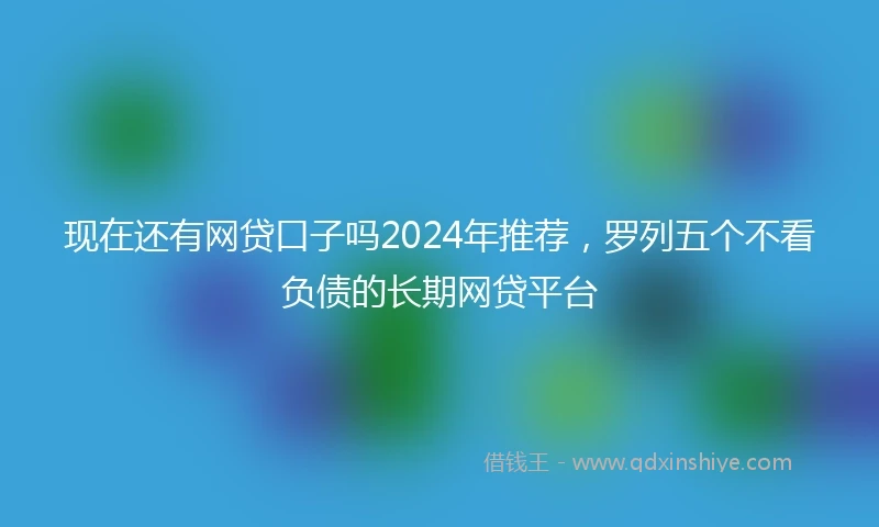 现在还有网贷口子吗2024年推荐，罗列五个不看负债的长期网贷平台
