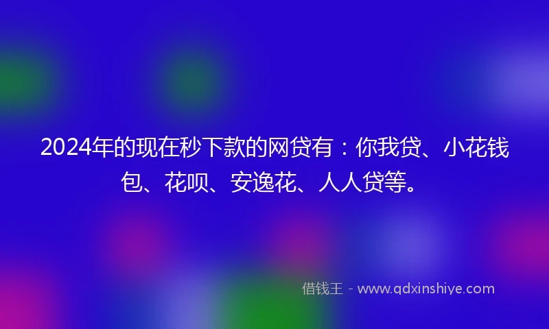 2024年的现在秒下款的网贷有：你我贷、小花钱包、花呗、安逸花、人人贷等。