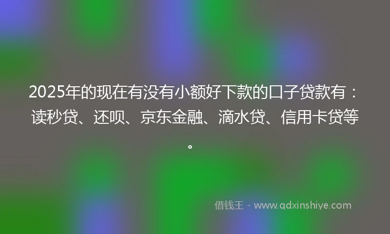 2025年的现在有没有小额好下款的口子贷款有：读秒贷、还呗、京东金融、滴水贷、信用卡贷等。
