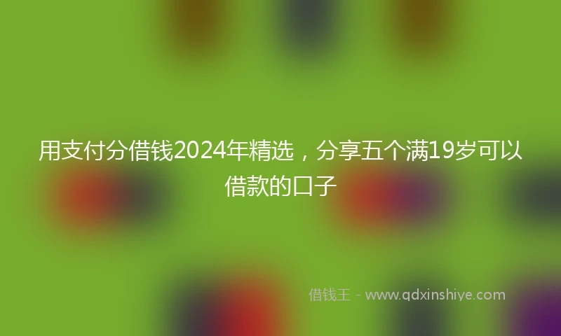 用支付分借钱2024年精选，分享五个满19岁可以借款的口子