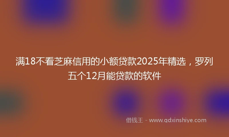 满18不看芝麻信用的小额贷款2025年精选，罗列五个12月能贷款的软件