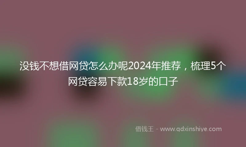 没钱不想借网贷怎么办呢2024年推荐，梳理5个网贷容易下款18岁的口子