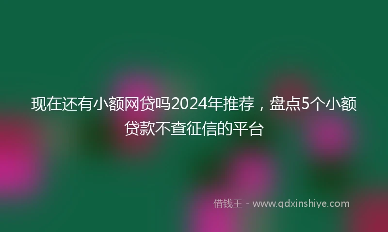 现在还有小额网贷吗2024年推荐，盘点5个小额贷款不查征信的平台