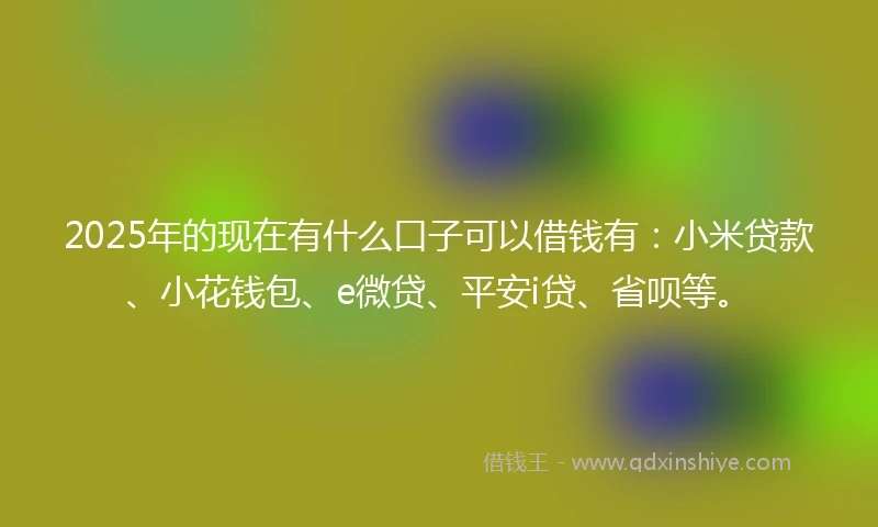 2025年的现在有什么口子可以借钱有：小米贷款、小花钱包、e微贷、平安i贷、省呗等。
