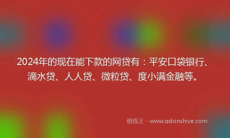 2024年的现在能下款的网贷有：平安口袋银行、滴水贷、人人贷、微粒贷、度小满金融等。