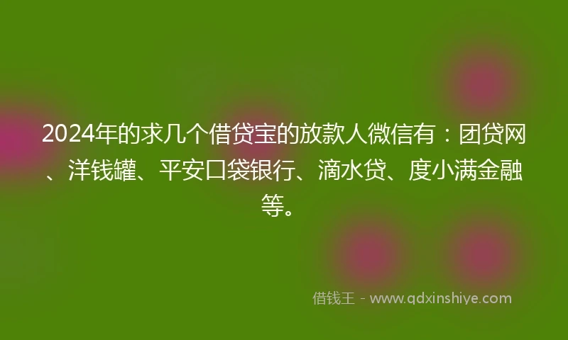 2024年的求几个借贷宝的放款人微信有：团贷网、洋钱罐、平安口袋银行、滴水贷、度小满金融等。