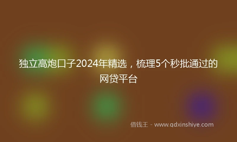 独立高炮口子2024年精选，梳理5个秒批通过的网贷平台