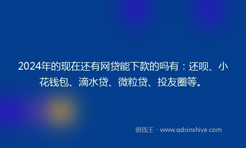 2024年的现在还有网贷能下款的吗有：还呗、小花钱包、滴水贷、微粒贷、投友圈等。