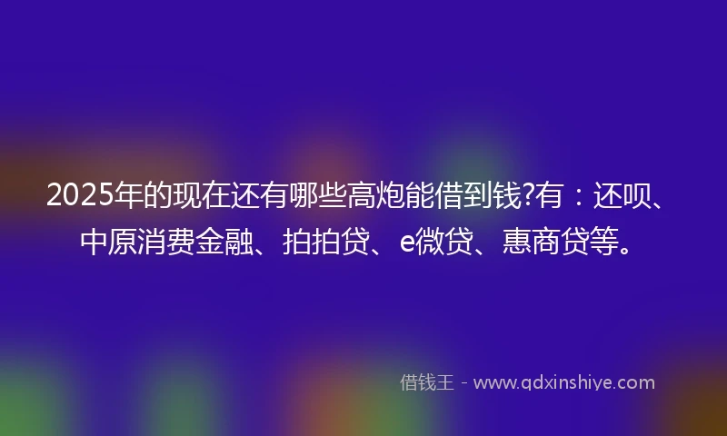 2025年的现在还有哪些高炮能借到钱?有：还呗、中原消费金融、拍拍贷、e微贷、惠商贷等。