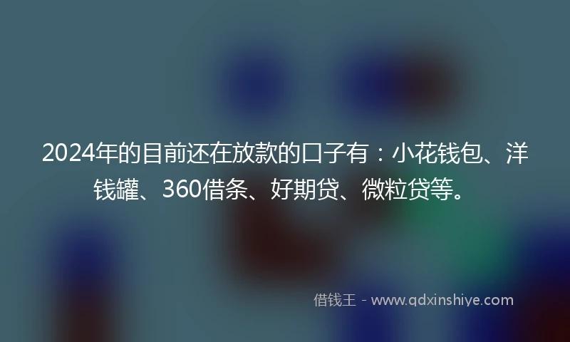 2024年的目前还在放款的口子有：小花钱包、洋钱罐、360借条、好期贷、微粒贷等。