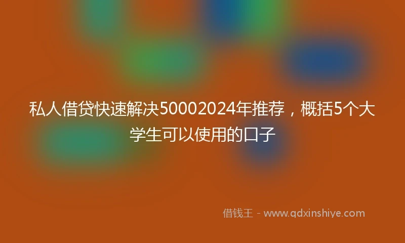 私人借贷快速解决50002024年推荐，概括5个大学生可以使用的口子