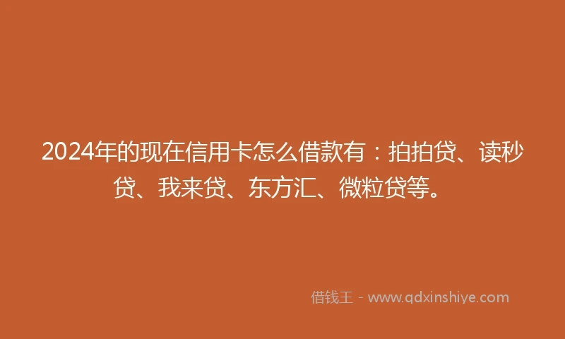 2024年的现在信用卡怎么借款有：拍拍贷、读秒贷、我来贷、东方汇、微粒贷等。