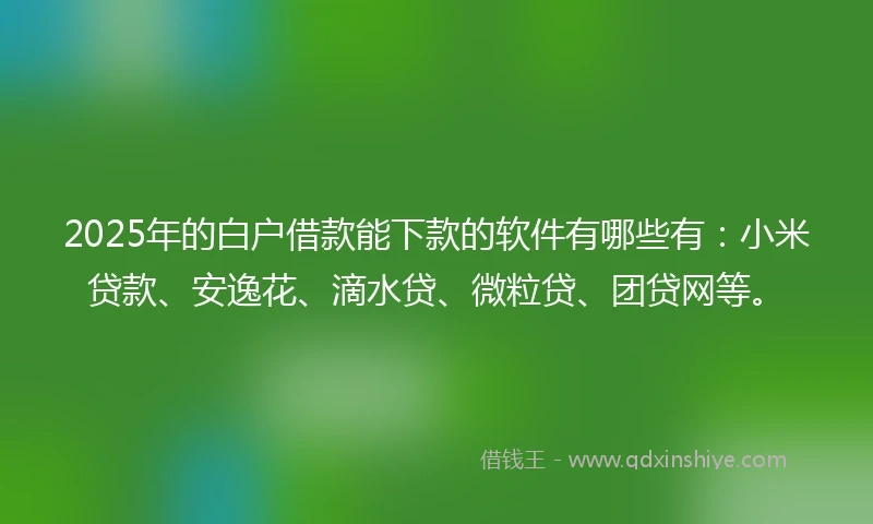 2025年的白户借款能下款的软件有哪些有：小米贷款、安逸花、滴水贷、微粒贷、团贷网等。