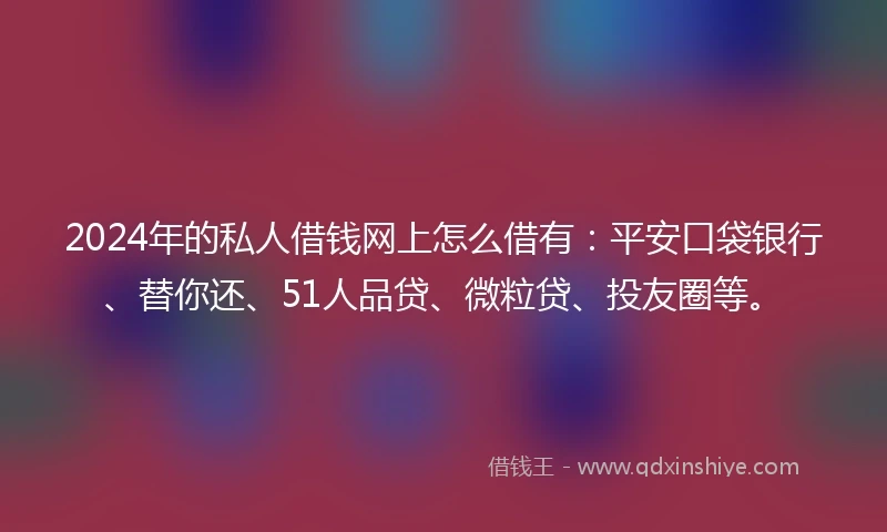 2024年的私人借钱网上怎么借有：平安口袋银行、替你还、51人品贷、微粒贷、投友圈等。