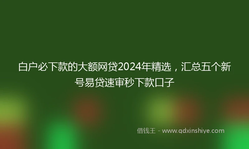 白户必下款的大额网贷2024年精选，汇总五个新号易贷速审秒下款口子
