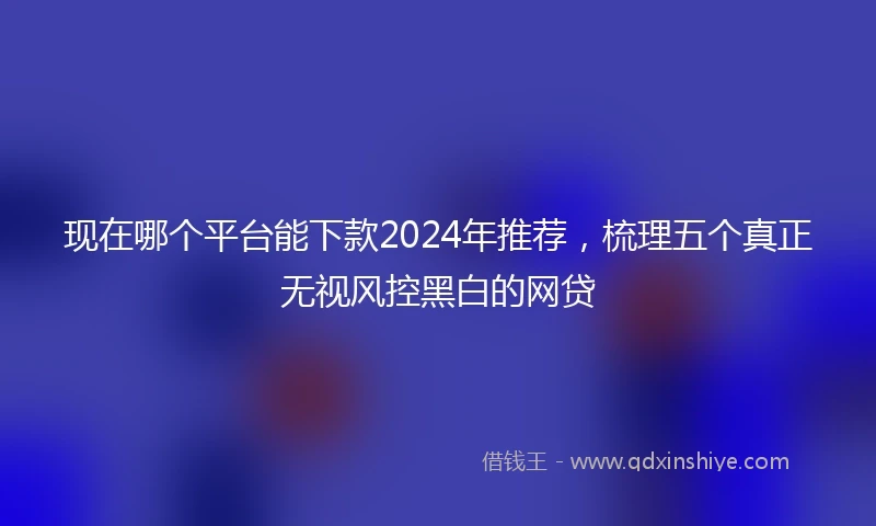 现在哪个平台能下款2024年推荐，梳理五个真正无视风控黑白的网贷