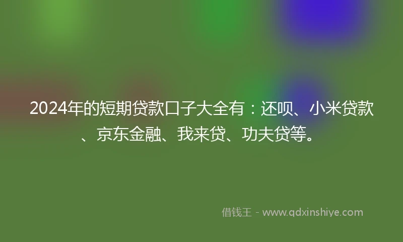 2024年的短期贷款口子大全有：还呗、小米贷款、京东金融、我来贷、功夫贷等。