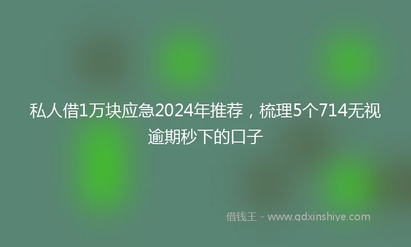 私人借1万块应急2024年推荐，梳理5个714无视逾期秒下的口子