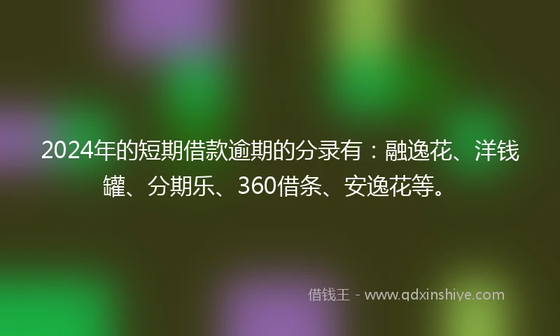 2024年的短期借款逾期的分录有：融逸花、洋钱罐、分期乐、360借条、安逸花等。