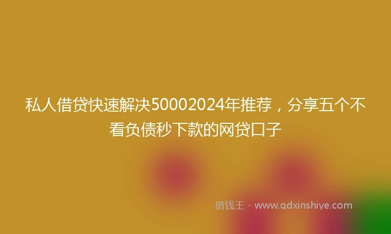 私人借贷快速解决50002024年推荐，分享五个不看负债秒下款的网贷口子