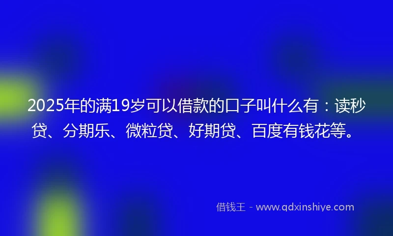 2025年的满19岁可以借款的口子叫什么有：读秒贷、分期乐、微粒贷、好期贷、百度有钱花等。