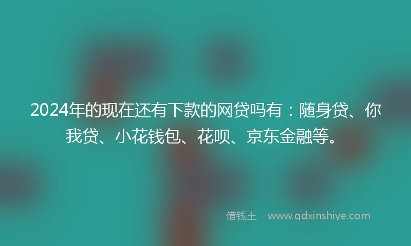 2024年的现在还有下款的网贷吗有：随身贷、你我贷、小花钱包、花呗、京东金融等。