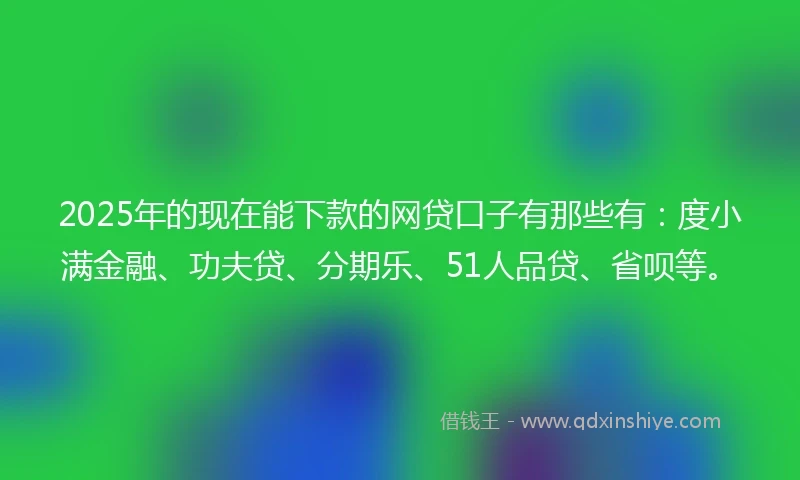 2025年的现在能下款的网贷口子有那些有：度小满金融、功夫贷、分期乐、51人品贷、省呗等。