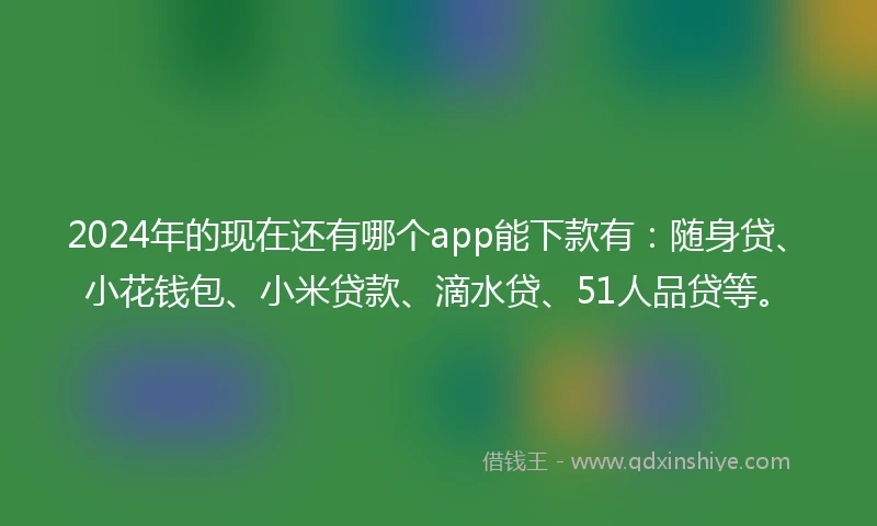 2024年的现在还有哪个app能下款有：随身贷、小花钱包、小米贷款、滴水贷、51人品贷等。
