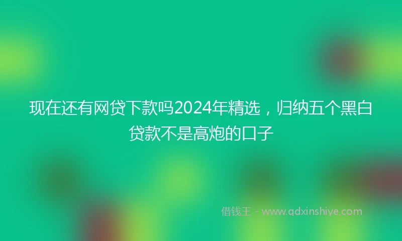 现在还有网贷下款吗2024年精选，归纳五个黑白贷款不是高炮的口子