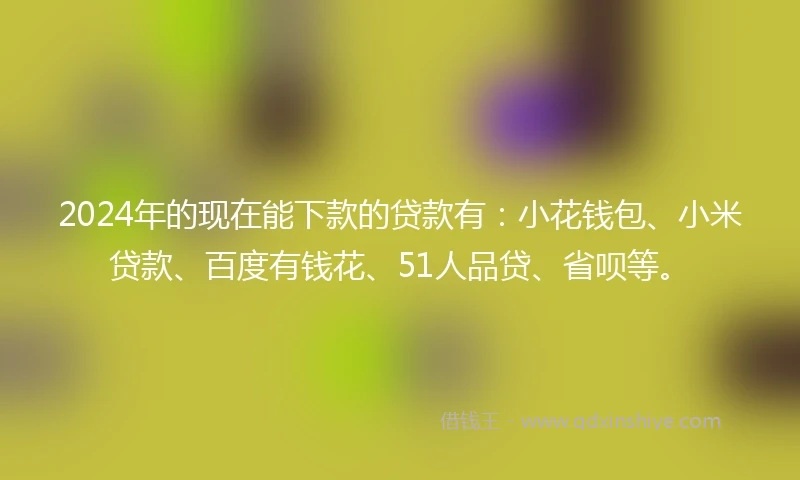 2024年的现在能下款的贷款有：小花钱包、小米贷款、百度有钱花、51人品贷、省呗等。